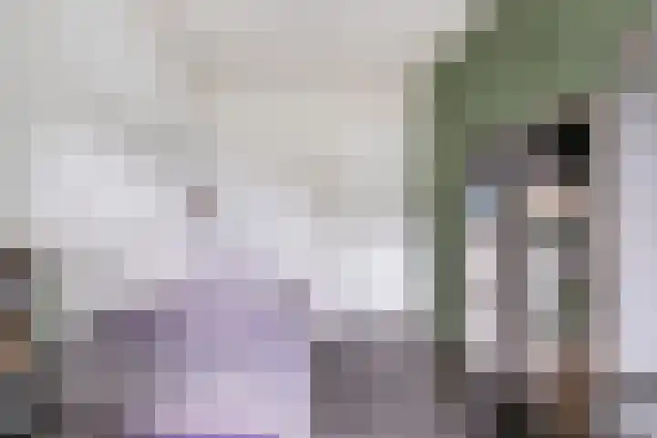 Goudreinet 5 Huissen thumbnail 23