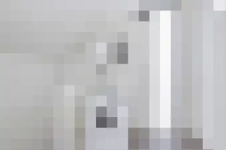Goudreinet 5 Huissen thumbnail 25