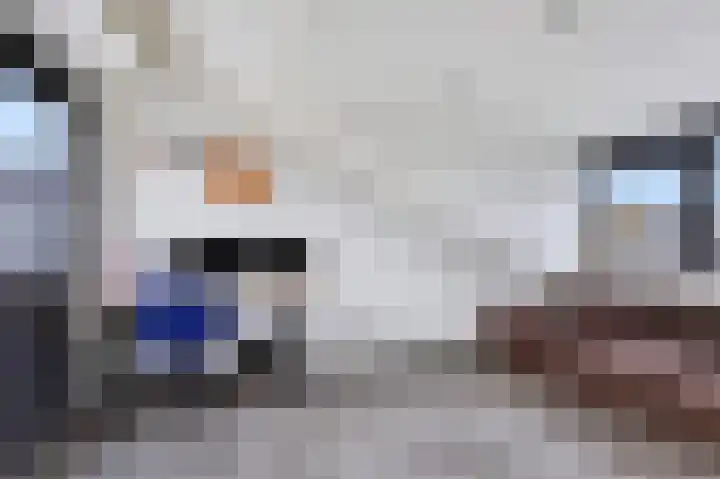 Goudreinet 5 Huissen thumbnail 26