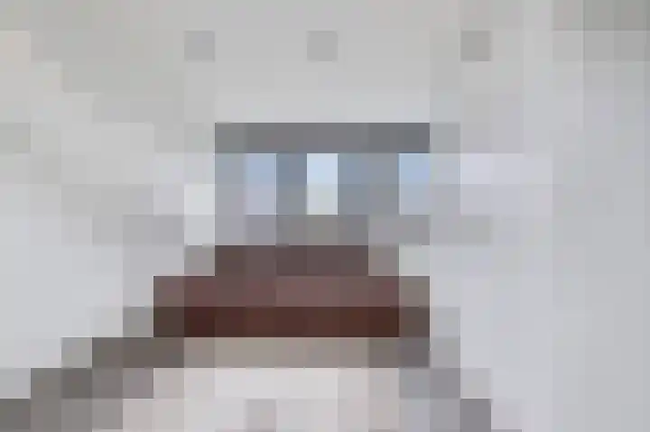 Goudreinet 5 Huissen thumbnail 27