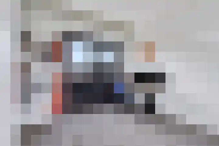Goudreinet 5 Huissen thumbnail 28