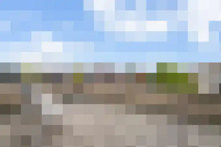 Goudreinet 5 Huissen thumbnail 30