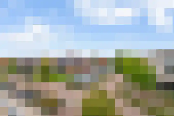 Goudreinet 5 Huissen thumbnail 31
