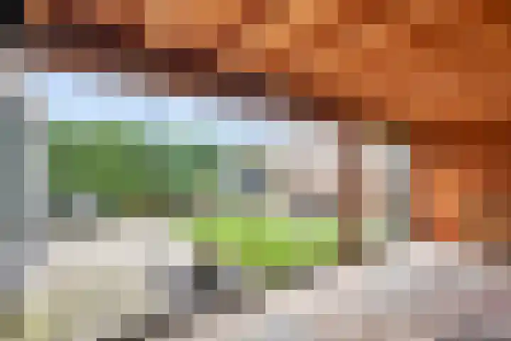 Goudreinet 5 Huissen thumbnail 34