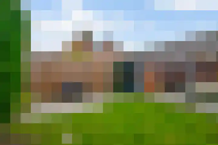 Goudreinet 5 Huissen thumbnail 35