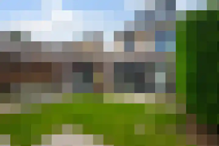 Goudreinet 5 Huissen thumbnail 37