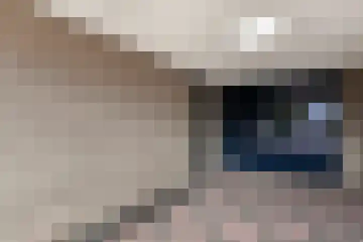 Goudreinet 5 Huissen thumbnail 38
