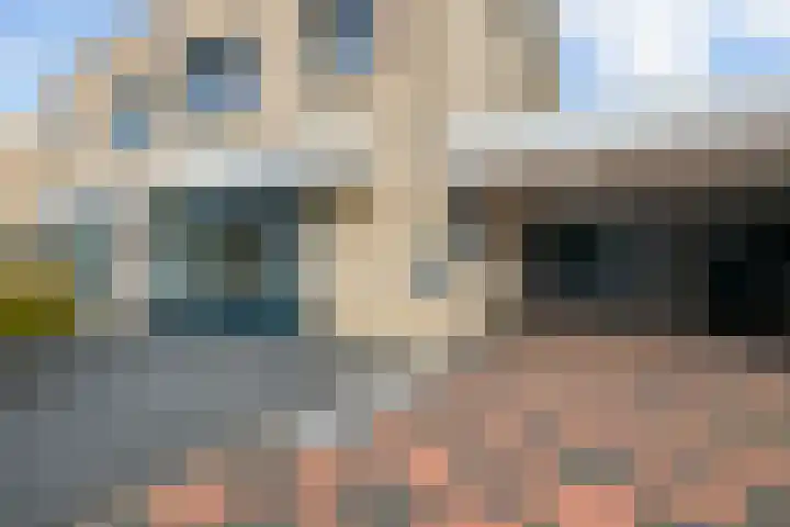 Goudreinet 5 Huissen thumbnail 39