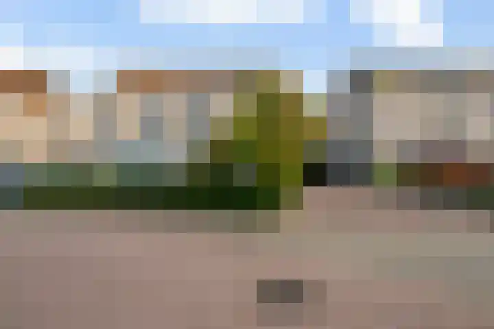 Goudreinet 5 Huissen thumbnail 4