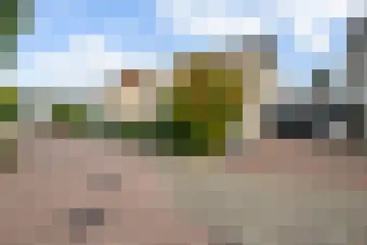 Goudreinet 5 Huissen thumbnail 40