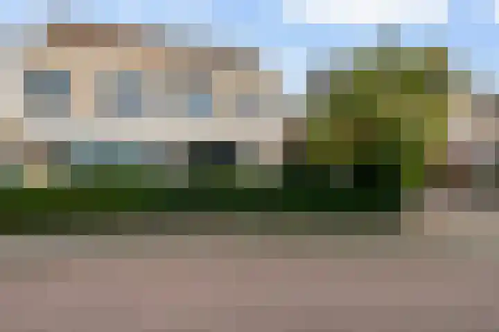 Goudreinet 5 Huissen thumbnail 41