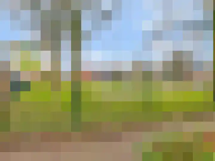 Goudreinet 5 Huissen thumbnail 42