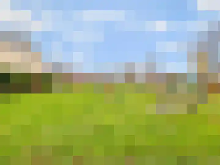 Goudreinet 5 Huissen thumbnail 43