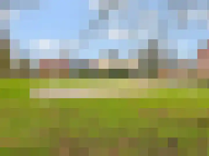 Goudreinet 5 Huissen thumbnail 44