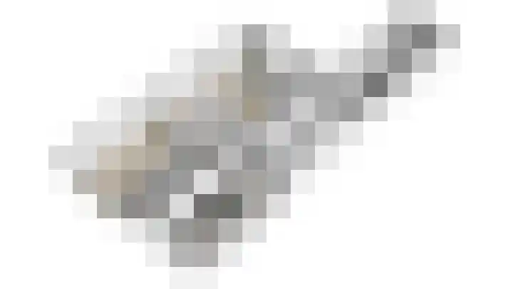 Goudreinet 5 Huissen thumbnail 48