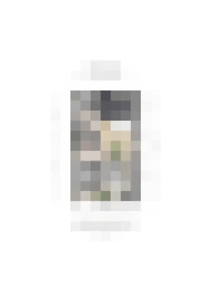 Goudreinet 5 Huissen thumbnail 49