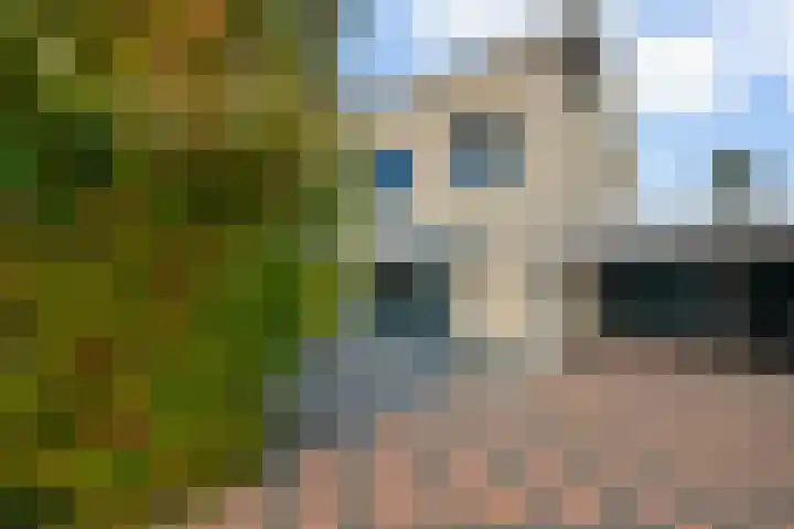 Goudreinet 5 Huissen thumbnail 5