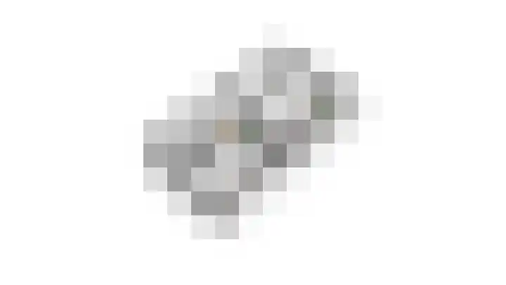 Goudreinet 5 Huissen thumbnail 50