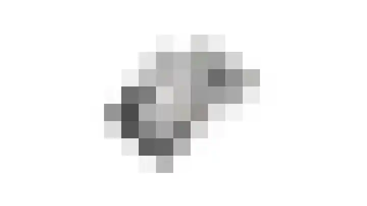 Goudreinet 5 Huissen thumbnail 53