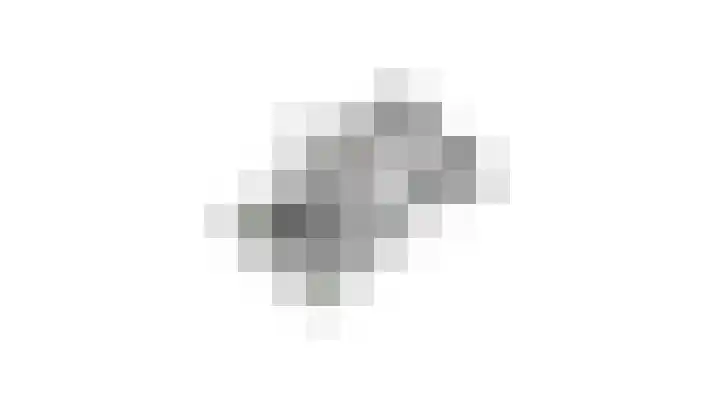Goudreinet 5 Huissen thumbnail 54