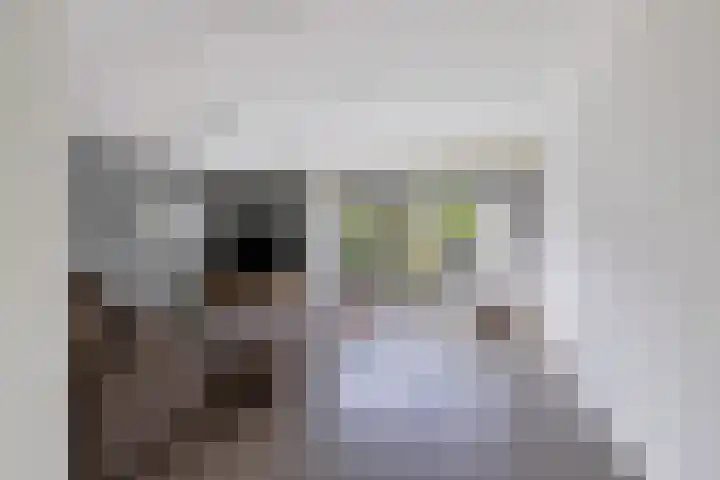 Goudreinet 5 Huissen thumbnail 7