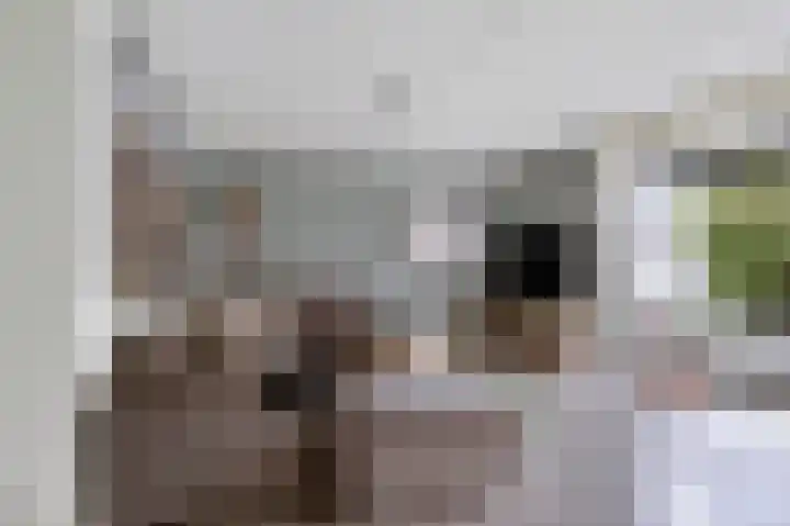 Goudreinet 5 Huissen thumbnail 8
