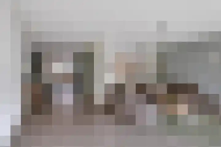 Goudreinet 5 Huissen thumbnail 9