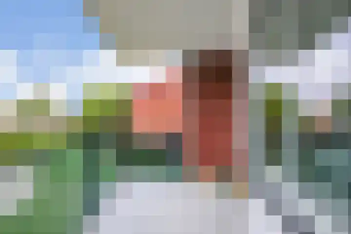 Goudreinet 63 Huissen thumbnail 10