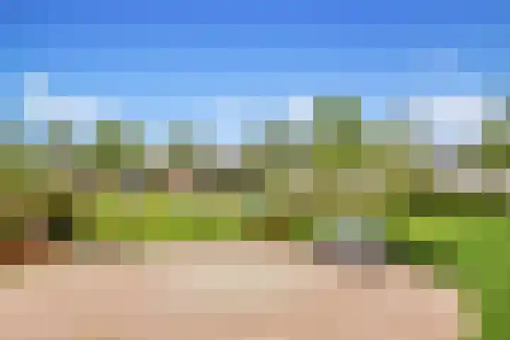 Goudreinet 63 Huissen thumbnail 11