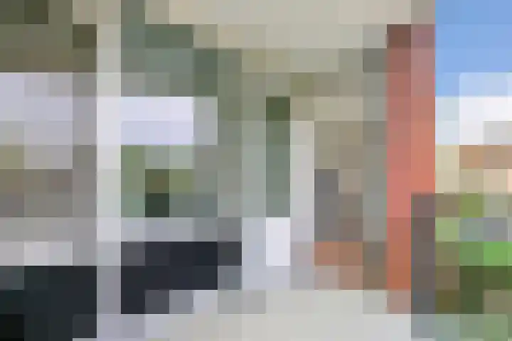 Goudreinet 63 Huissen thumbnail 12