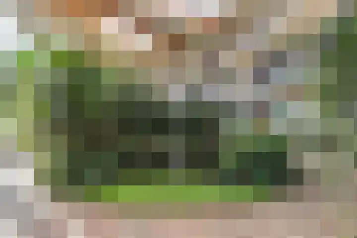 Goudreinet 63 Huissen thumbnail 21