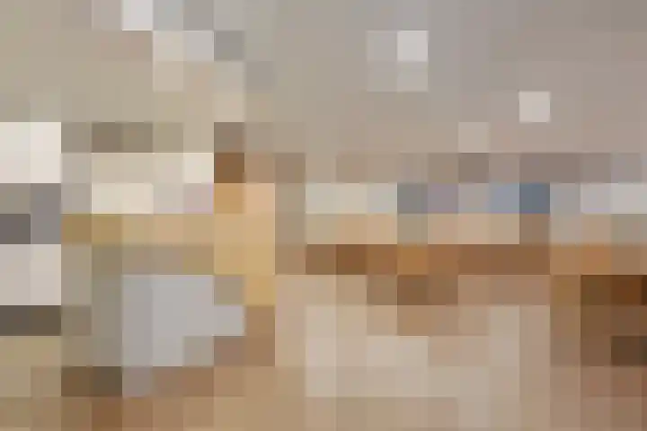 Goudreinet 63 Huissen thumbnail 22