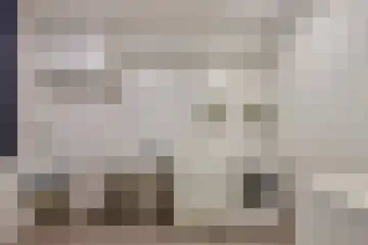 Goudreinet 63 Huissen thumbnail 25