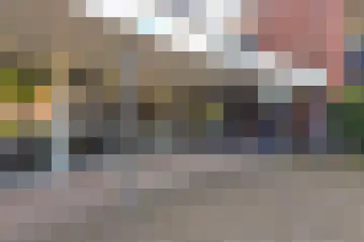 Goudreinet 63 Huissen thumbnail 28