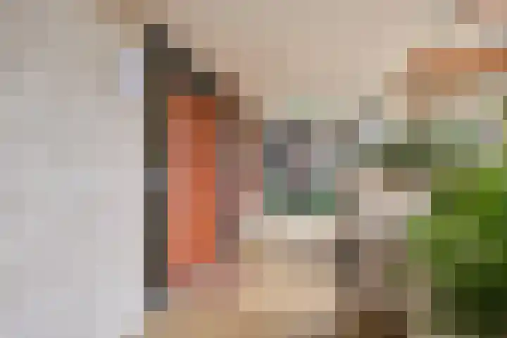 Goudreinet 63 Huissen thumbnail 4