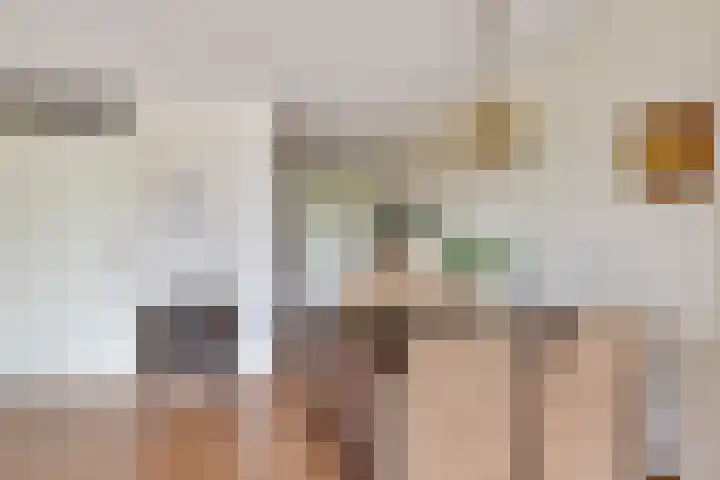 Goudreinet 63 Huissen thumbnail 7