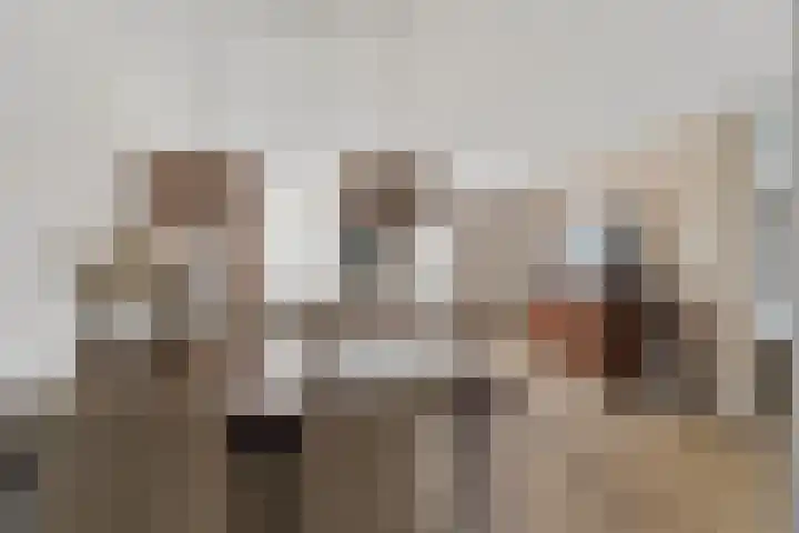Goudreinet 75 Huissen thumbnail 10