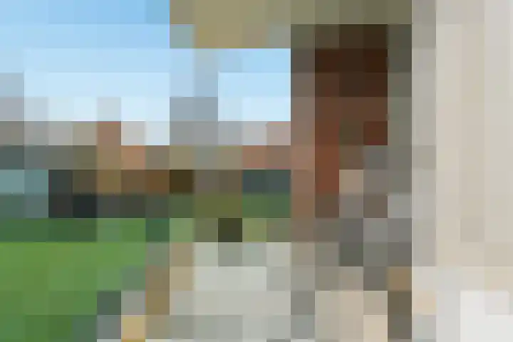 Goudreinet 75 Huissen thumbnail 11