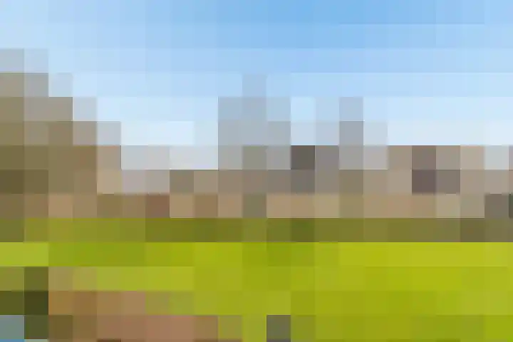 Goudreinet 75 Huissen thumbnail 12