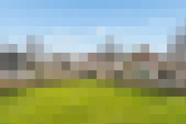 Goudreinet 75 Huissen thumbnail 13