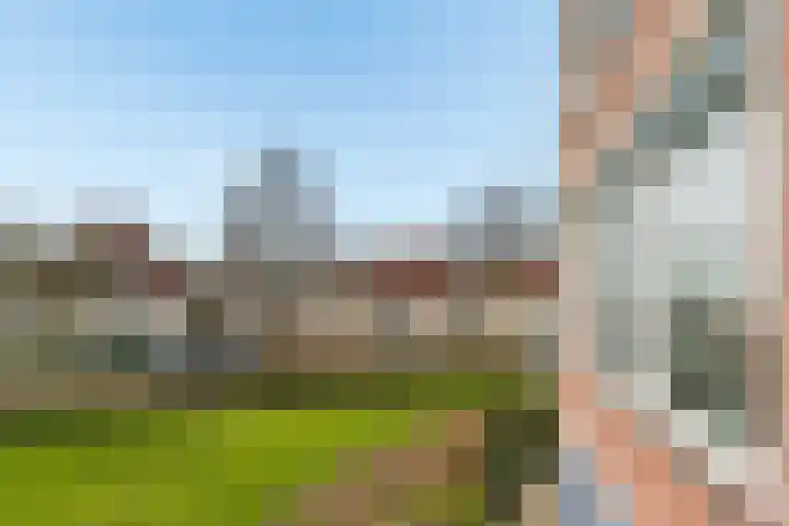 Goudreinet 75 Huissen thumbnail 14