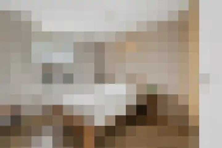 Goudreinet 75 Huissen thumbnail 16