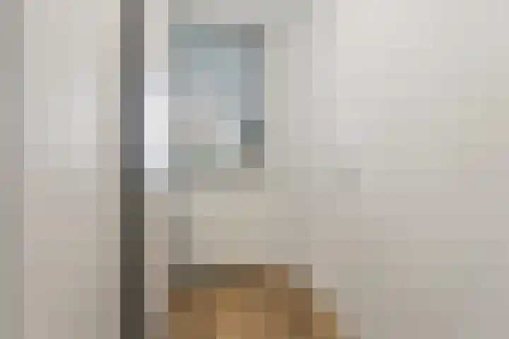 Goudreinet 75 Huissen thumbnail 19