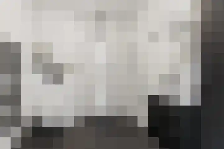 Goudreinet 75 Huissen thumbnail 20