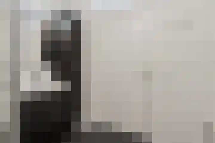Goudreinet 75 Huissen thumbnail 21