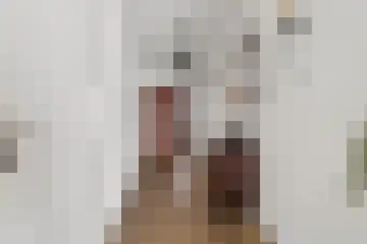 Goudreinet 75 Huissen thumbnail 22