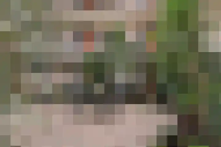 Goudreinet 75 Huissen thumbnail 26