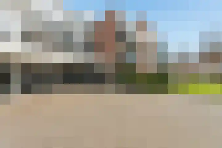 Goudreinet 75 Huissen thumbnail 30