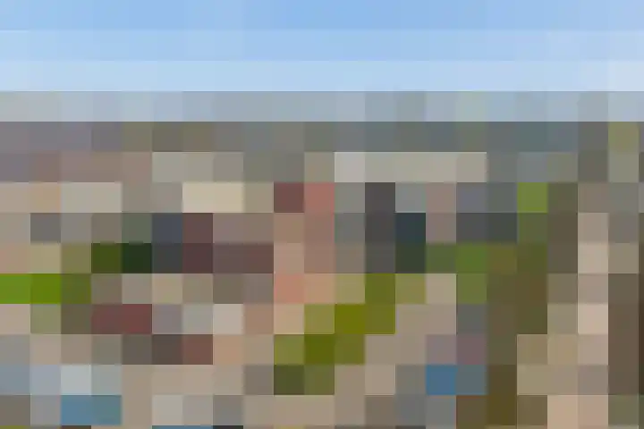 Goudreinet 75 Huissen thumbnail 31