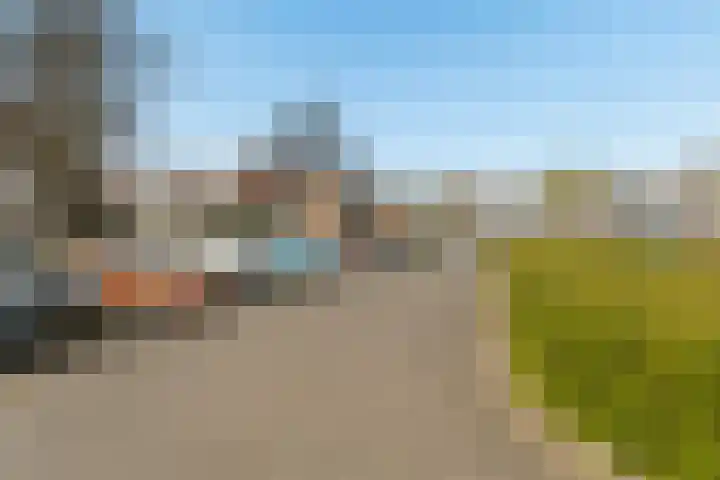 Goudreinet 75 Huissen thumbnail 32